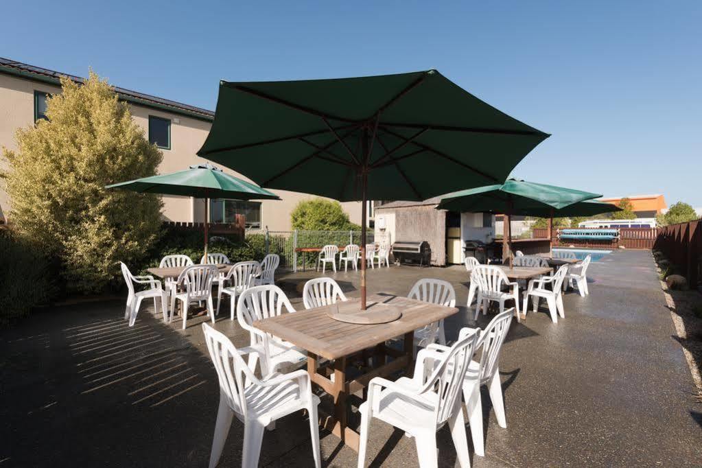 Lobster Inn Motel Kaikoura Kültér fotó